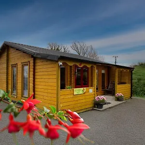 Red Robin Nest Irlande